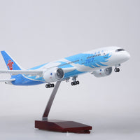 Thumbnail for China Southern Airlines Boeing 787 Airplane Model (1/130 Scale)