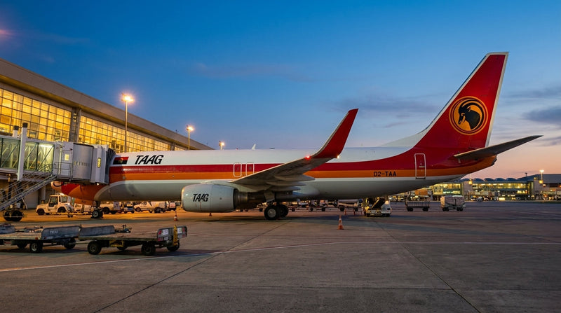 TAAG Angola Airlines Flies Live Lions To Nigeria