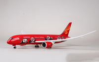 Thumbnail for China Hainan Airline Boeing 787 Airplane Model (1/130 Scale)