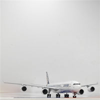 Thumbnail for Airbus original A340-500 F-WWTE Airplane Model