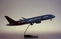 Thumbnail for Hainan Airlines Boeing 787 Airplane Model (1/130 Scale)