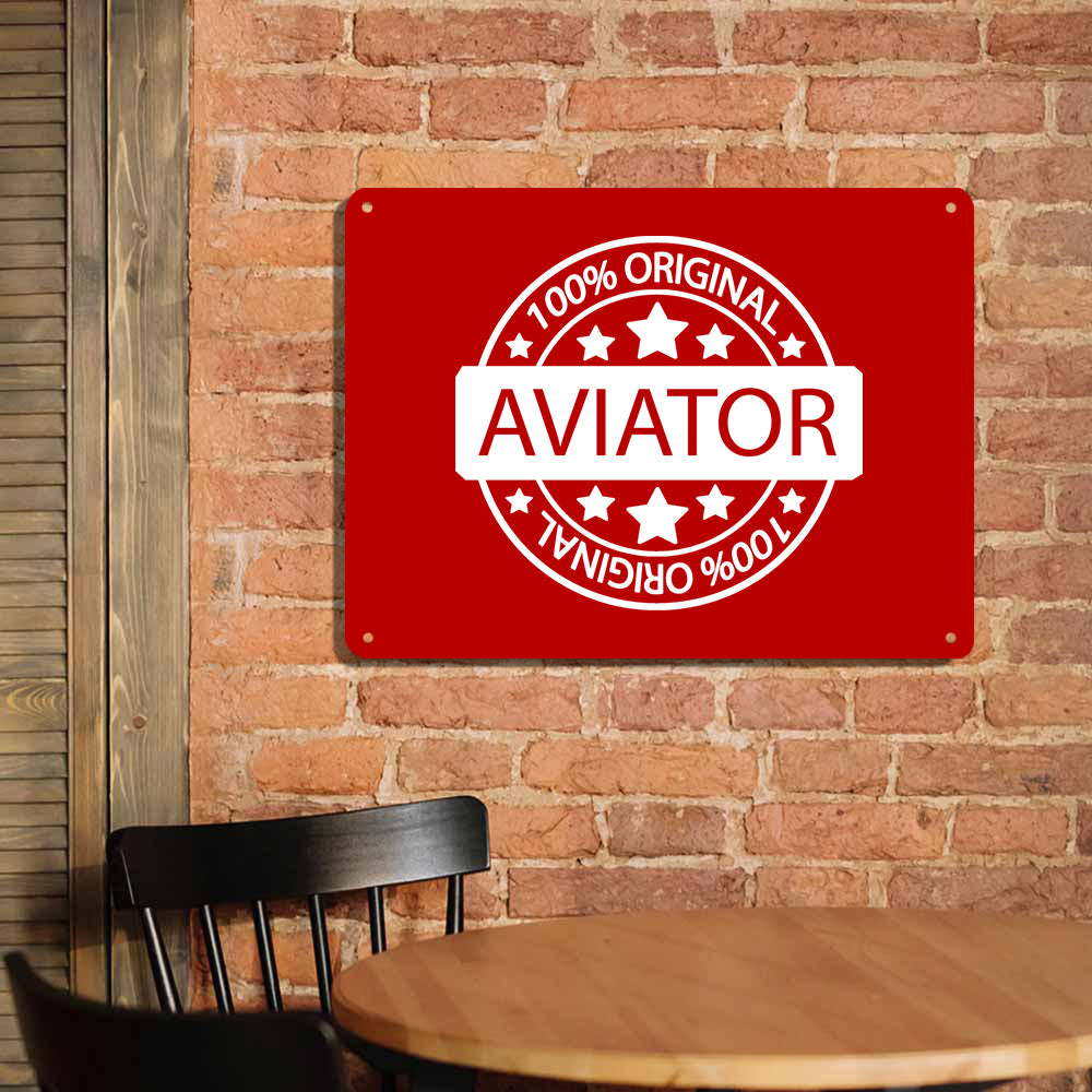 %100 Original Aviator Printed Metal Sign