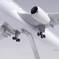 Thumbnail for Portugal Airlines Airbus A330 (Special Edition 47CM) Airplane Model