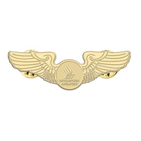 Thumbnail for Singapore Airlines Designed Hollow Pins