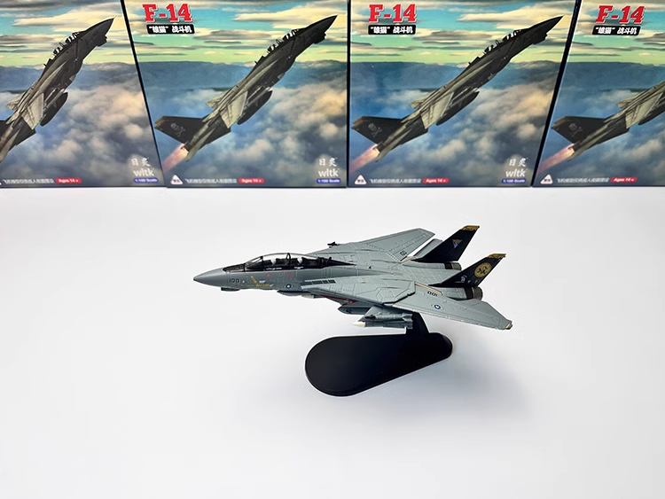 1/100 Grumman F-14 Tomcat Interceptor VF-31 Airplane Model