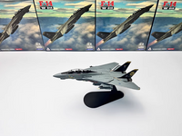 Thumbnail for 1/100 Grumman F-14 Tomcat Interceptor VF-31 Airplane Model