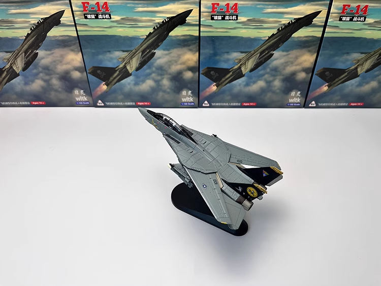 1/100 Grumman F-14 Tomcat Interceptor VF-31 Airplane Model