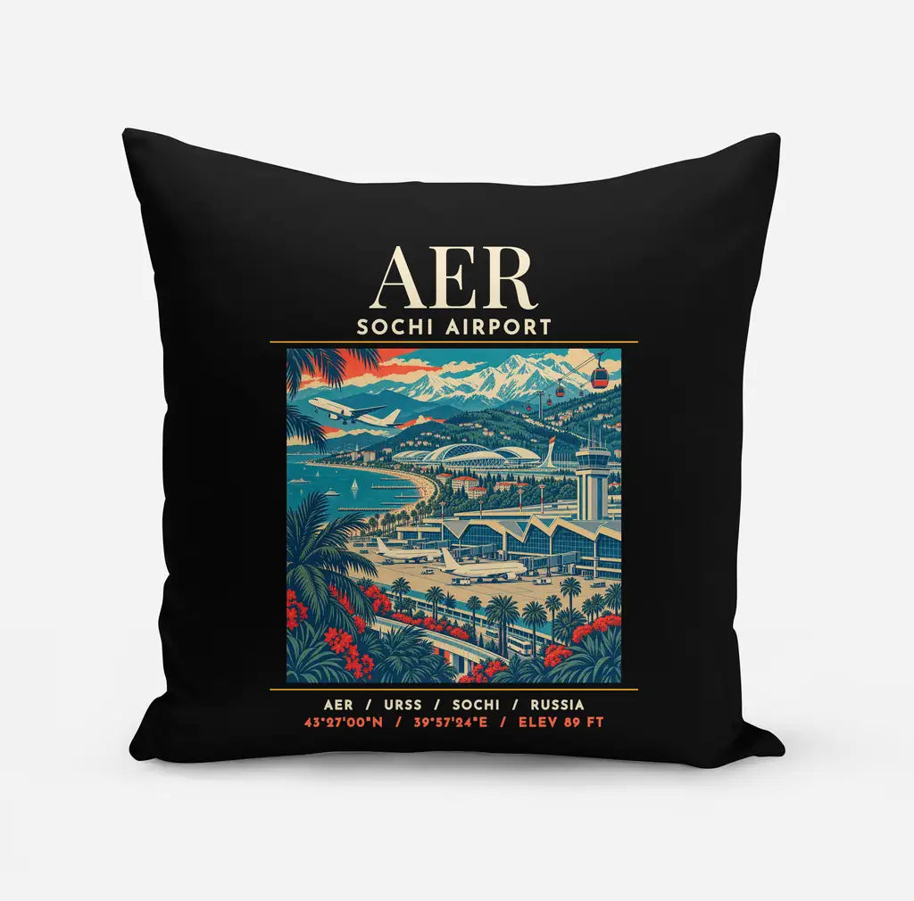 AER - Poster - Pillow - Black