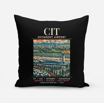 CIT - Poster - Pillow - Black