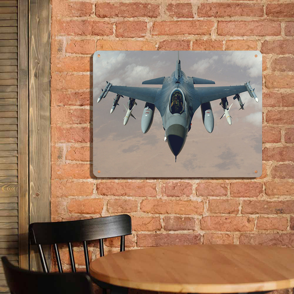 Cruising Fighter Jet 16 Printed Metal Sign