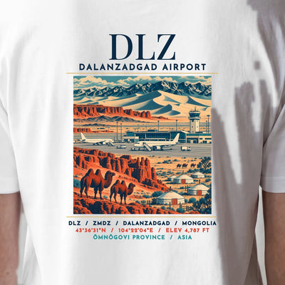 DLZ - Airport Poster - Cover