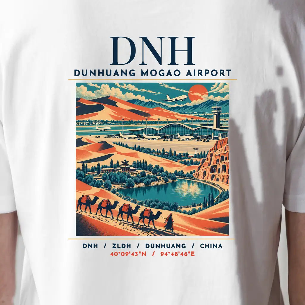 DNH - Airport Poster - Cover