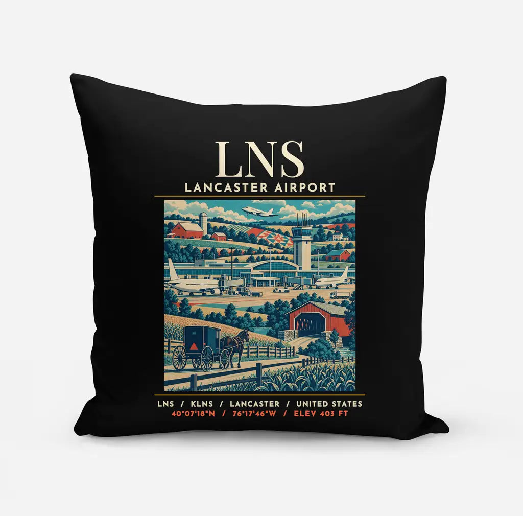 LNS - Poster - Pillow - Black