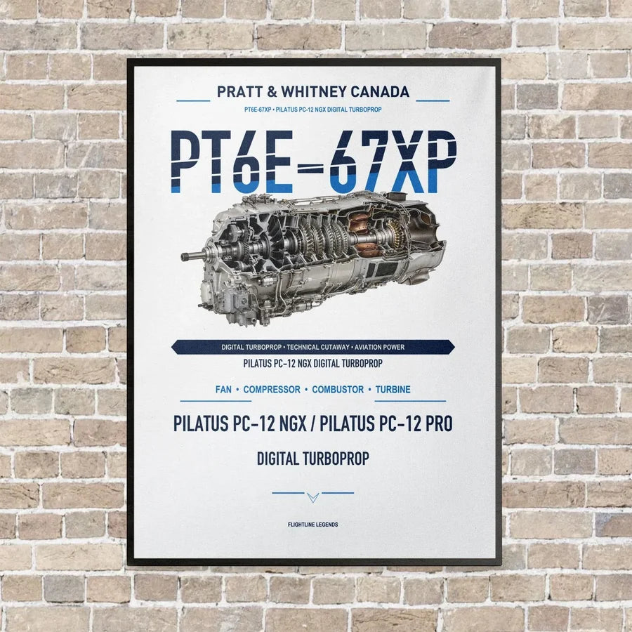PT6E-67XP vertical canvas print - framed - white background