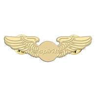 Thumbnail for Spirit Airlines aviation hollow pin in polished alloy.