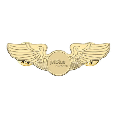 jetBlue Airways Airlines aviation hollow pin in polished alloy.