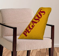 Thumbnail for Pegasus AirlinesDesigned aviation design on soft polyester filling aircraft tail pillow.