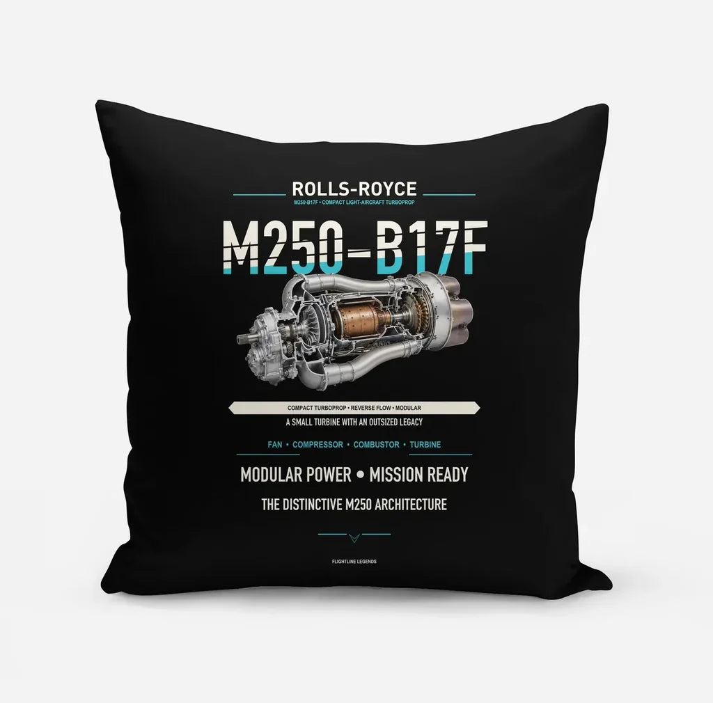 M250-B17F design on black pillow
