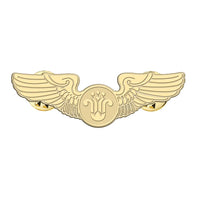 Thumbnail for CHINA SOUTHERN Airlines aviation hollow pin in polished alloy.