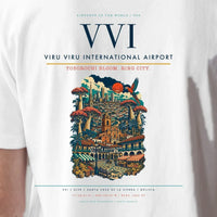 Thumbnail for Viru Viru International Airport VVI - Cover 2