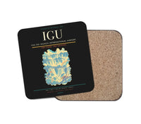 Thumbnail for Foz do Iguaçu International Airport (IGU) design on black 1 piece coaster