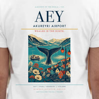 Thumbnail for Akureyri Airport AEY - Cover 2