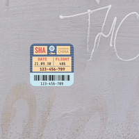 Thumbnail for SHANG HAI Airplane Boarding Pass aviation design sticker in weather-resistant vinyl.