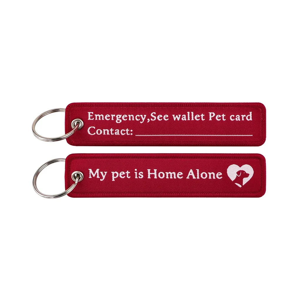 Pet Home Tips aviation fashion key chain in polished metal.