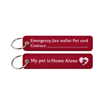Pet Home Tips aviation fashion key chain in polished metal.