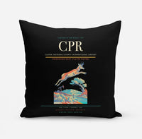Thumbnail for Casper–Natrona County International Airport (CPR) design on black pillow