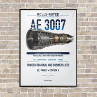 Thumbnail for AE 3007 vertical canvas print - framed - white background