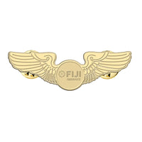 Thumbnail for Fiji Airways Airlines aviation hollow pin in polished alloy.