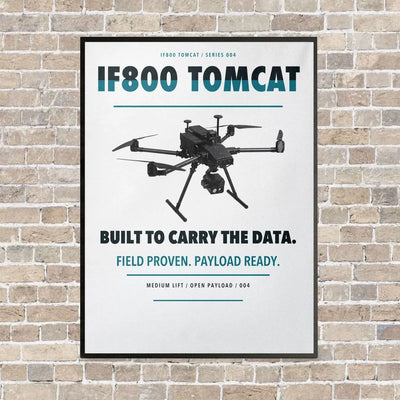 Inspired Flight IF800 Tomcat vertical canvas print - framed - white background
