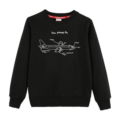 How Planes Fly 