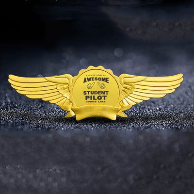 Student aviation badge in polished metal.