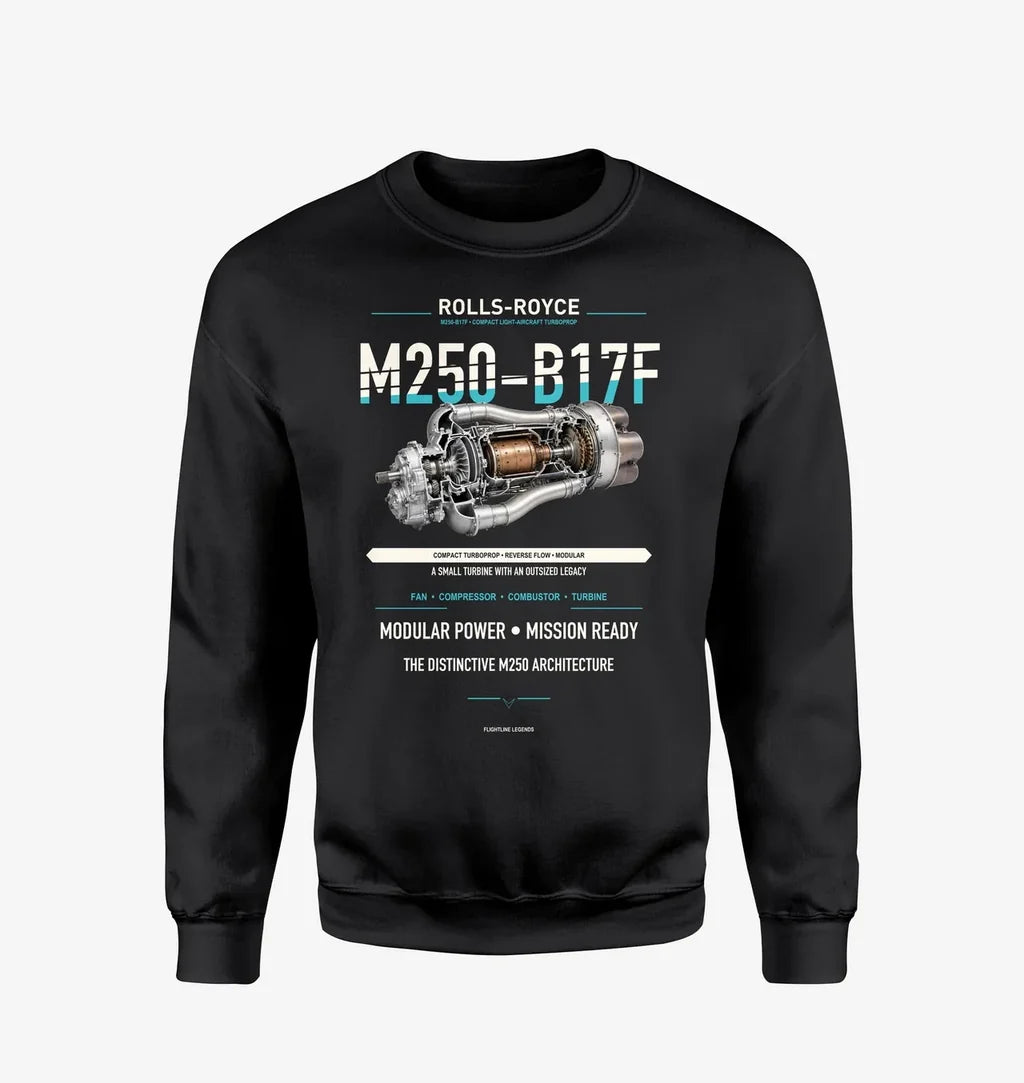 M250-B17F design on black sweatshirt
