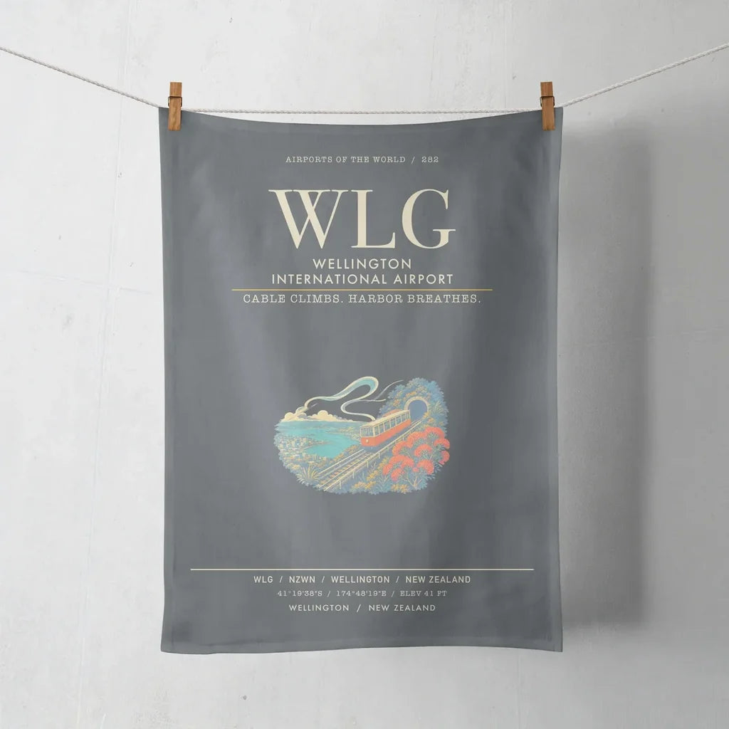 Wellington International Airport WLG - Gray