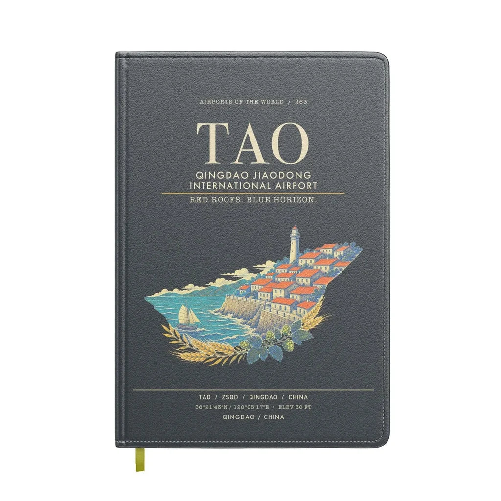 Qingdao Jiaodong International Airport TAO - Gray