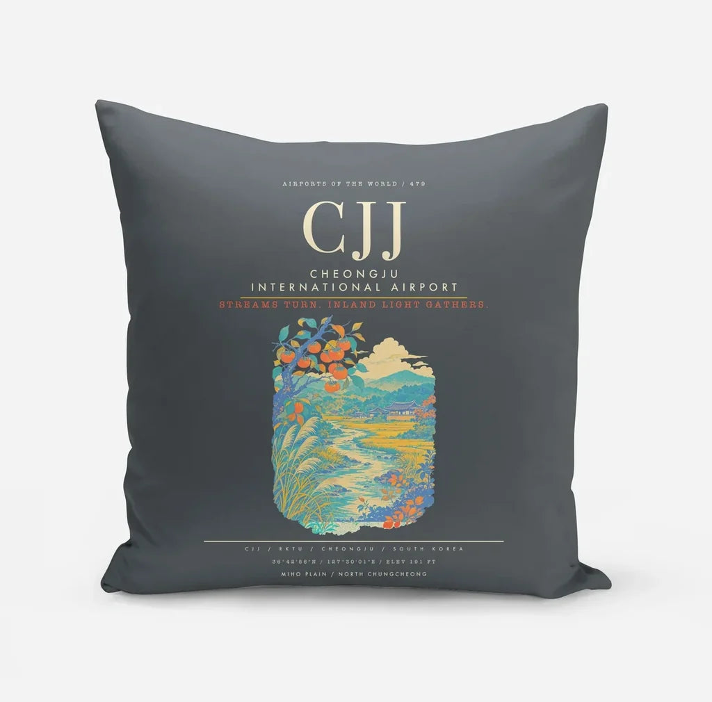 Cheongju International Airport CJJ - Gray