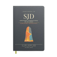 Thumbnail for Aeropuerto Internacional de Los Cabos SJD - Gray