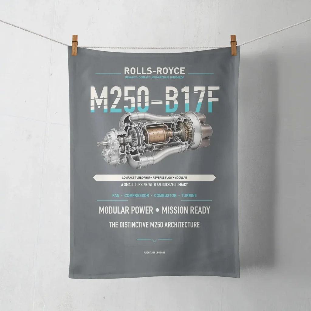 M250-B17F design on gray towel