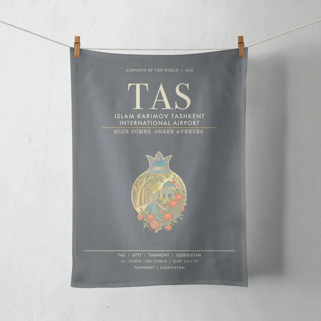 Islam Karimov Tashkent International Airport TAS - Gray
