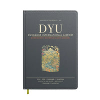 Thumbnail for Dushanbe International Airport DYU - Gray