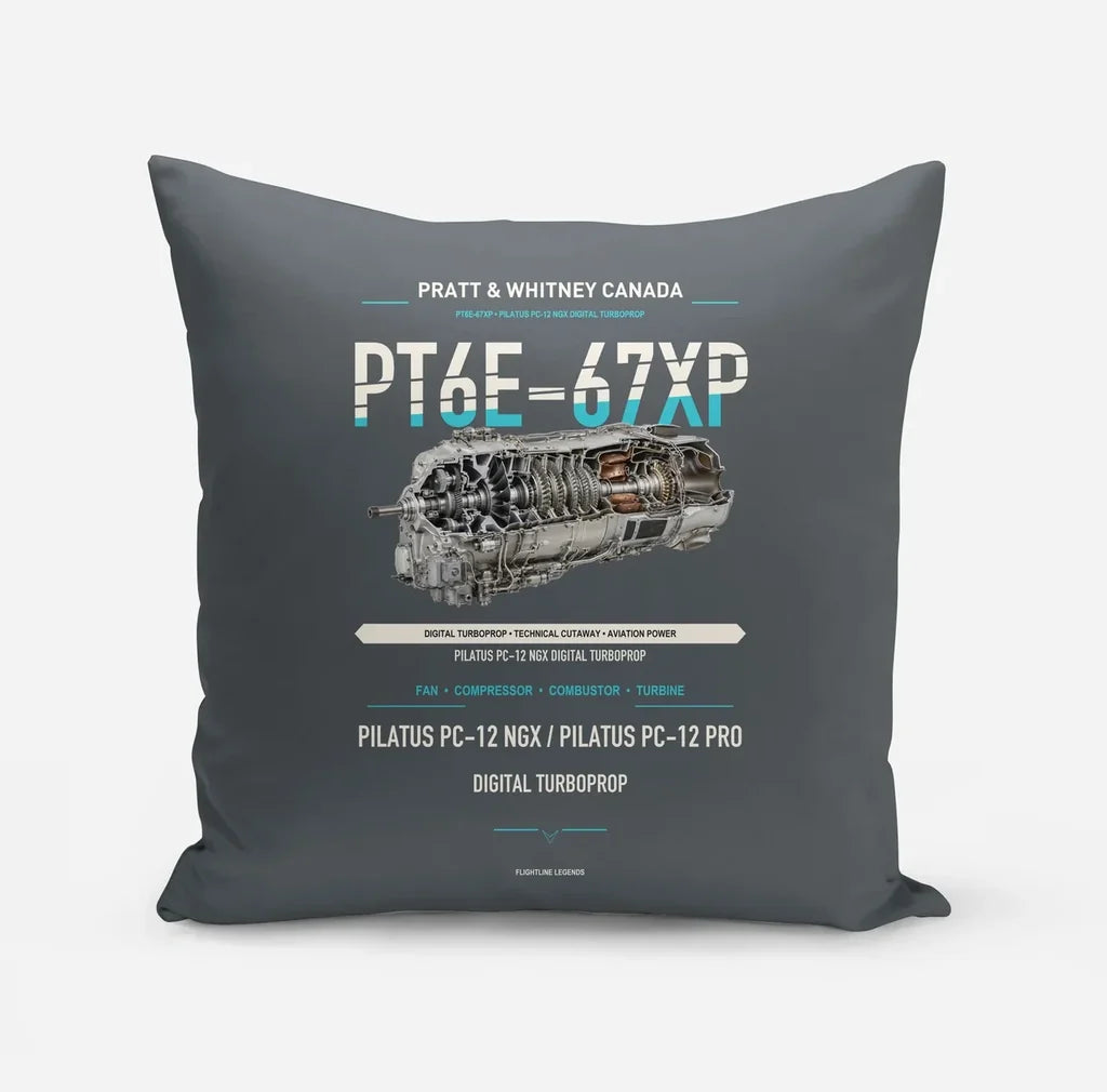PT6E-67XP design on gray pillow