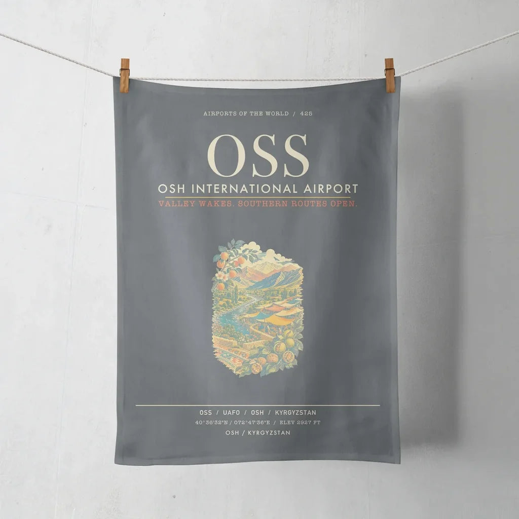 Osh International Airport OSS - Gray