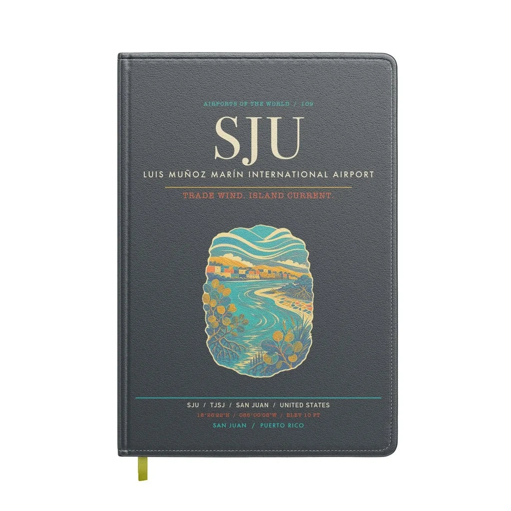 Luis Munoz Marin International Airport San Juan SJU - Gray