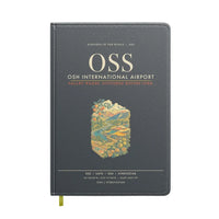 Thumbnail for Osh International Airport OSS - Gray