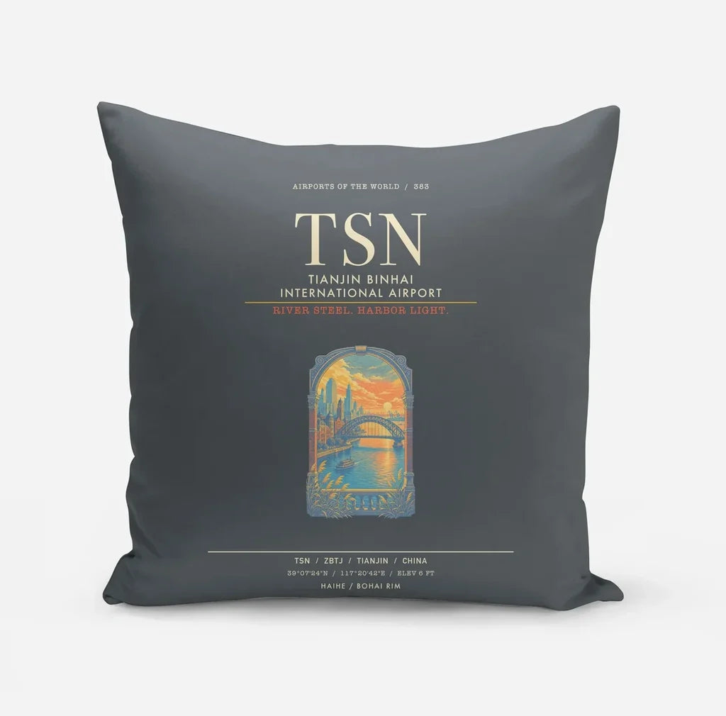 Tianjin Binhai International Airport TSN - Gray