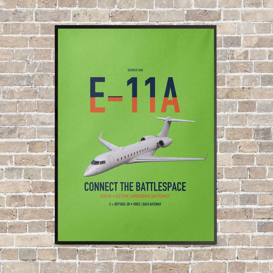 E-11A BACN vertical canvas print - framed - light green background