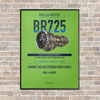 Thumbnail for BR725 vertical canvas print - framed - light green background